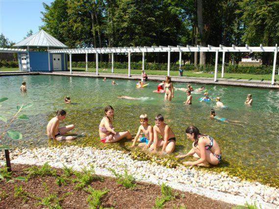 Ferienhaus Chalet Blockhaus Bayern Stamsried Ngoại thất bức ảnh
